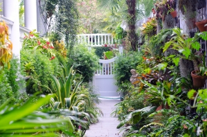 image of South Carolina